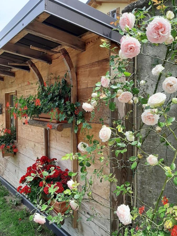 Appartamento Per Vacanze "Il Gelso" Rovereto (Trentino Alto Adige) Exterior foto