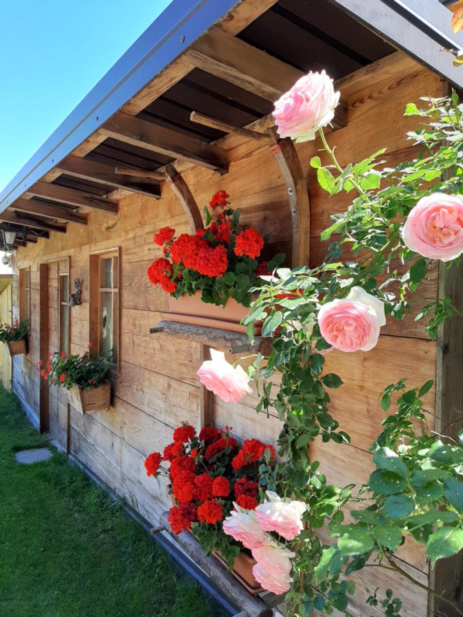 Appartamento Per Vacanze "Il Gelso" Rovereto (Trentino Alto Adige) Exterior foto