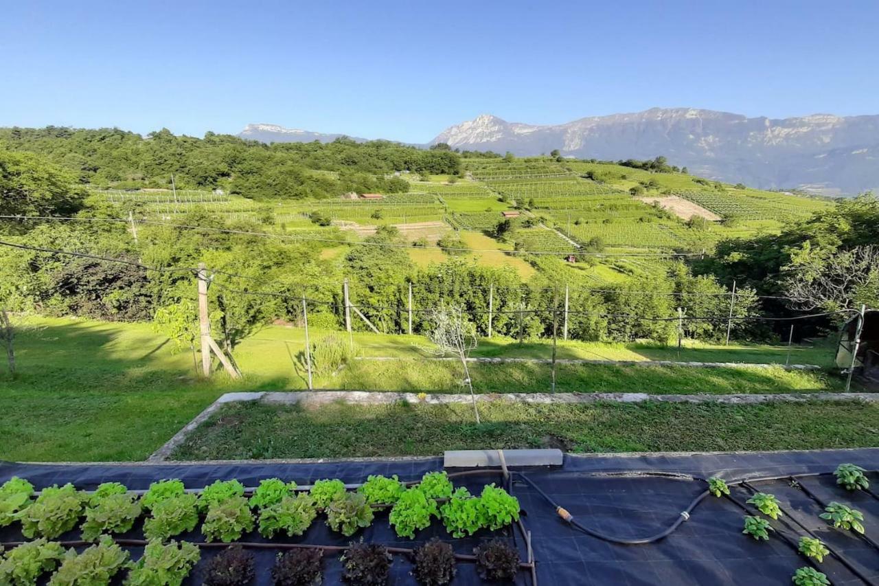 Appartamento Per Vacanze "Il Gelso" Rovereto (Trentino Alto Adige) Exterior foto